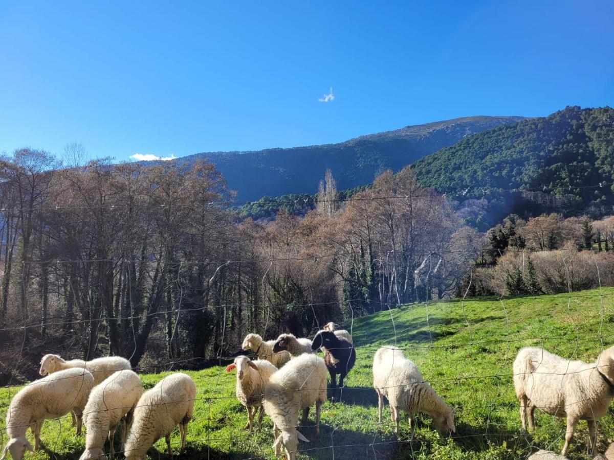 El Atico De Mijares Vendégház Kültér fotó